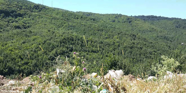Güney Felakettin Köyü