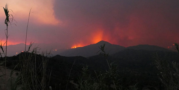 Güney Kıbrıs Rum Yönetimi akrep gibi