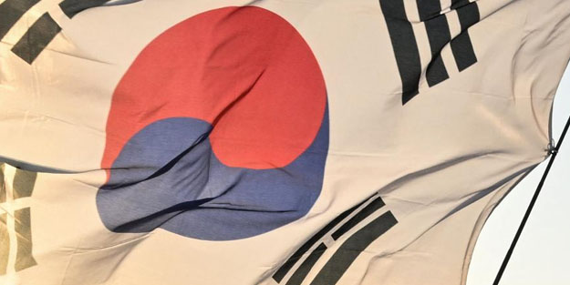 Güney Kore, Kuzey Kore'nin ülkeye yeniden 'çöp balonu' gönderdiğini bildirdi