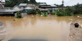 Güney Kore'de sel felaketinde ölü sayısı 41'e yükseldi