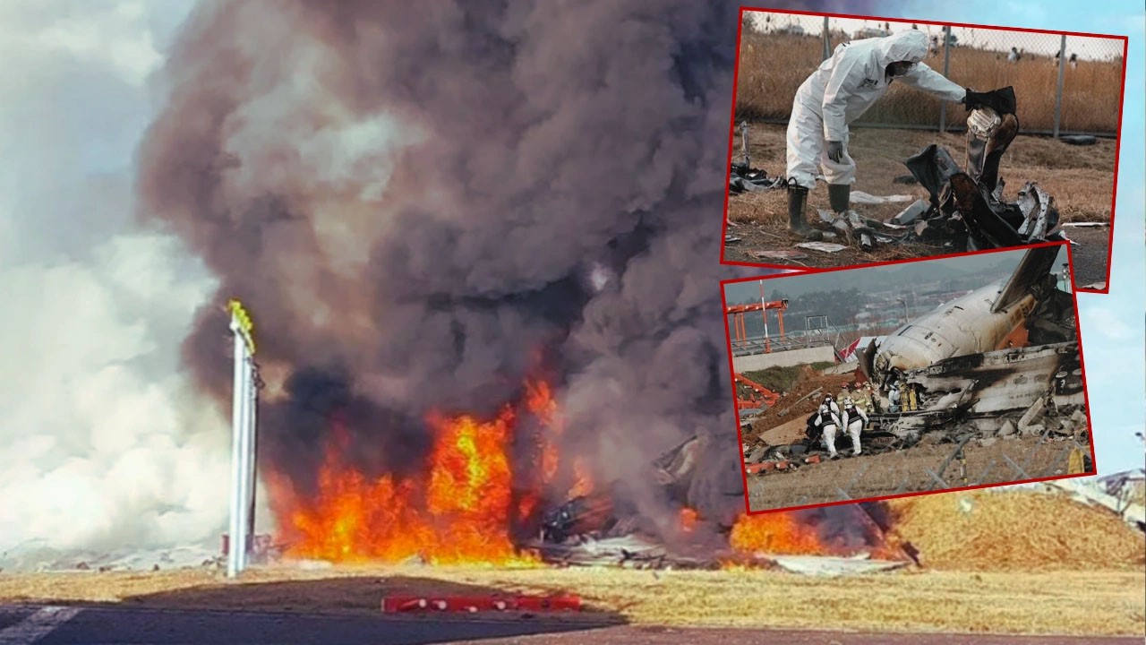 Güney Kore'deki 179 kişinin öldüğü uçak kazası: İki uçuş görevlisinin ilk sözleri