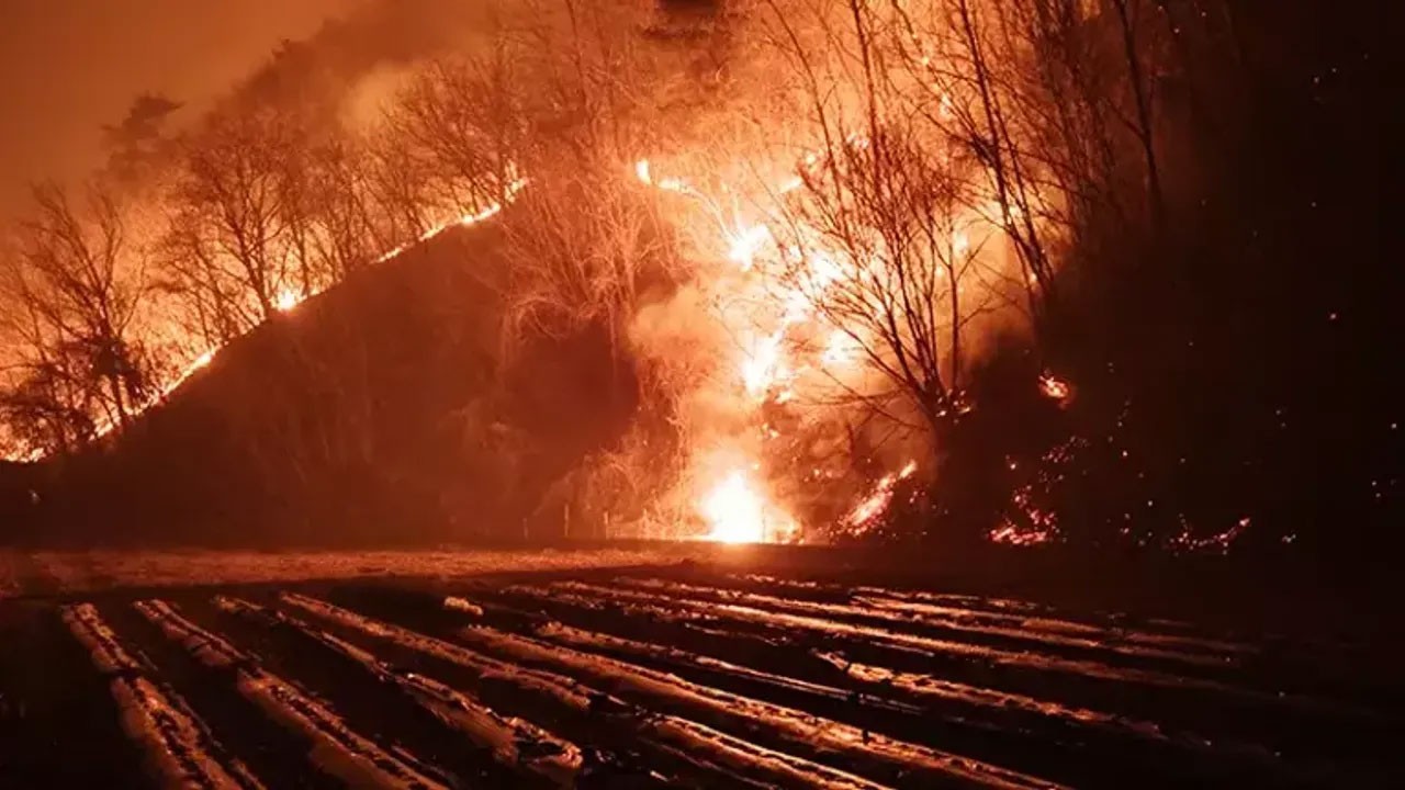 Güney Kore’deki orman yangınlarının son bilançosu açıklandı