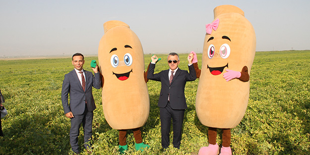 Güneydoğu artık terörle anılmıyor!