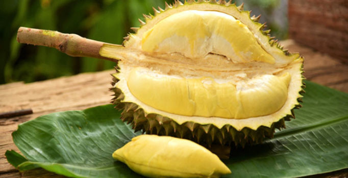 Güneydoğu Asya'da dünyanın en kötü kokan meyvesi koca uçağı durdurdu