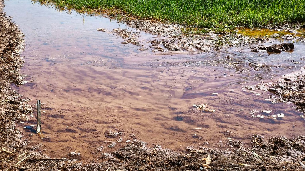 Güneydoğu’da su ve enerji kaynakları alarm veriyor! 4 bin 405 kaçak trafo tespit edildi