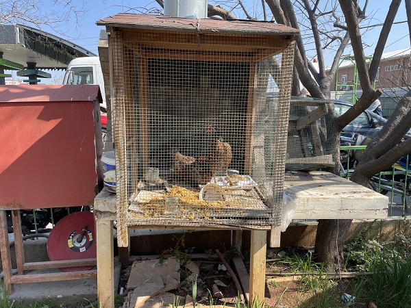 Günler sonra kurtuldular! 19 gün sonra gün ışığına kavuştular
