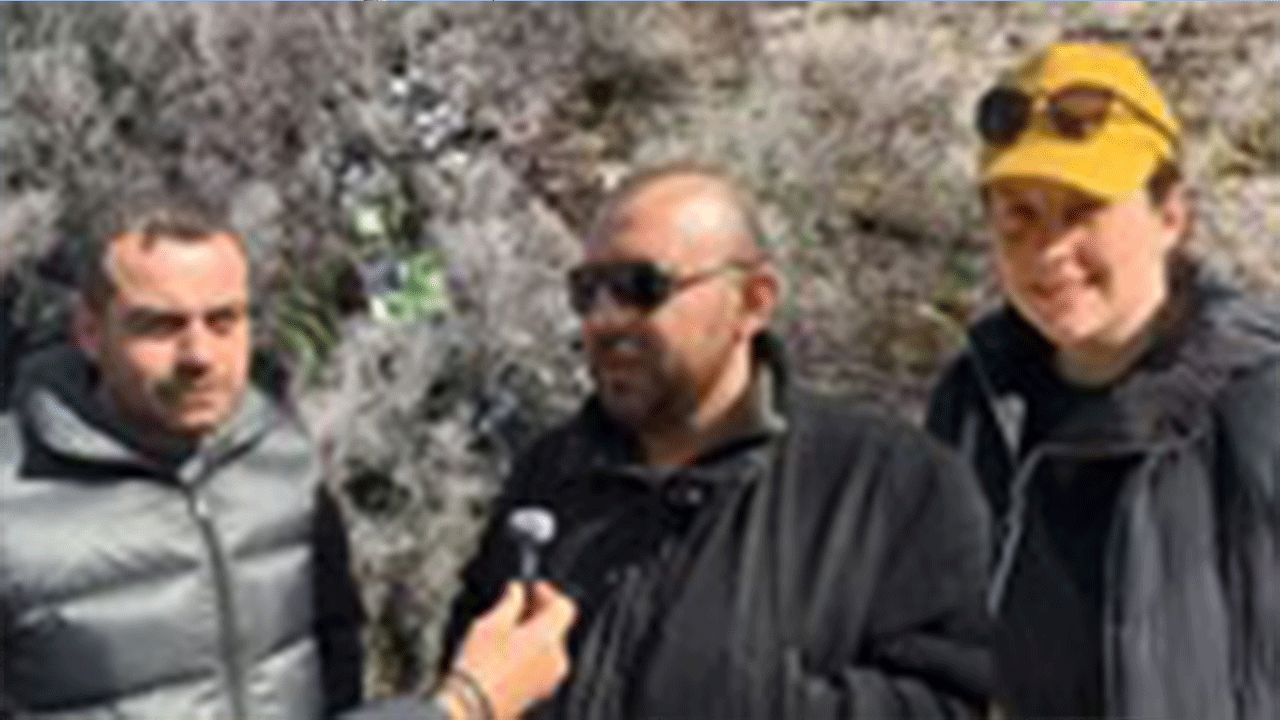 Günlerdir kayıptı! Mimar Ece ormanda bakın nasıl bulundu