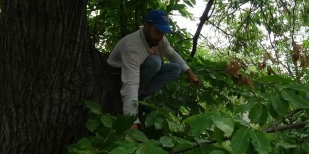 Günlük 400 TL kazanıyor ancak herkes bu işi yapamıyor