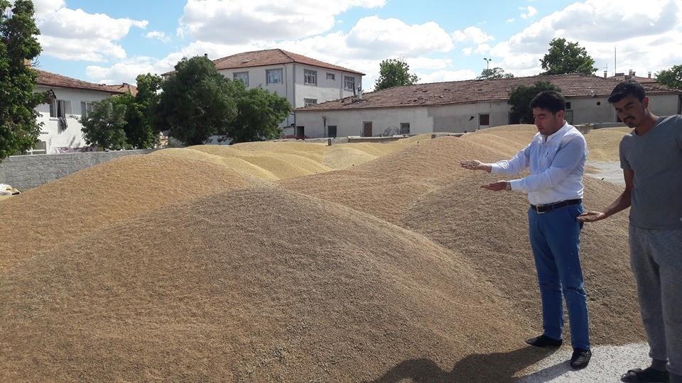 Günlük 800 ton buğday ve arpa sevkiyatı yapılıyor 