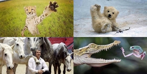 Günün en çok beğenilen fotoğrafları