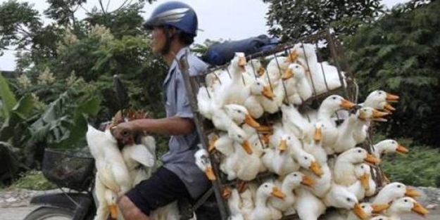 Günün ilginç kareleri - FOTO