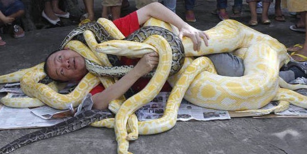 Günün ilginç kareleri