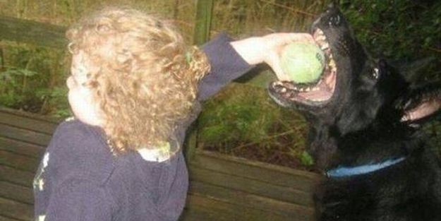 Günün ilginç kareleri