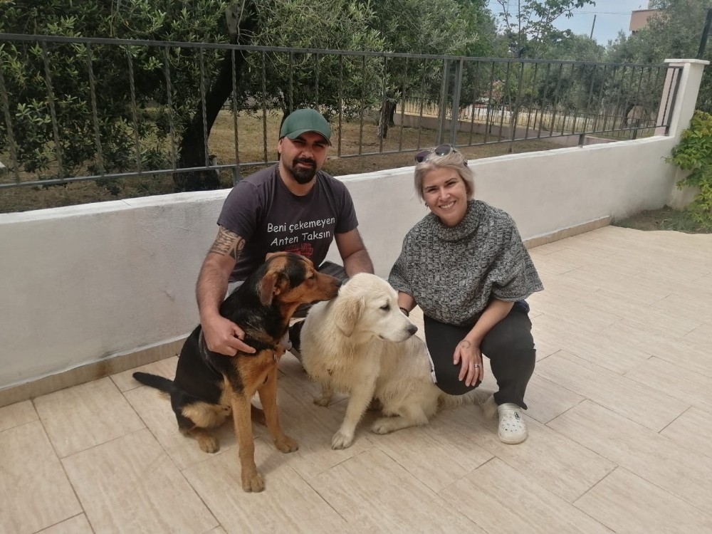 Gurbetçi çiftin tatil hayali kabusa dönüştü 