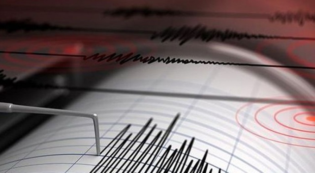 Gürcistan'da 4,6'lık deprem meydana geldi