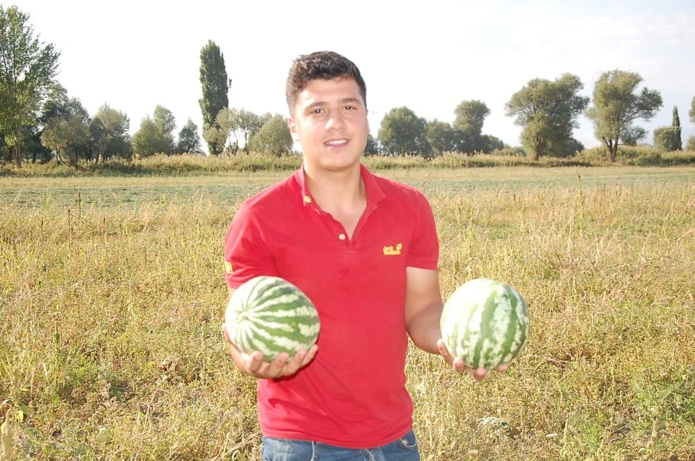 Güroymak’ta yerli karpuz satışları başladı 
