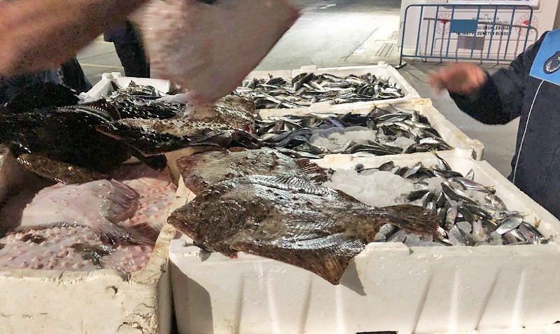 Gürpınar Balık Hali'ndeki denetimde 3 kişiye ceza yağdı