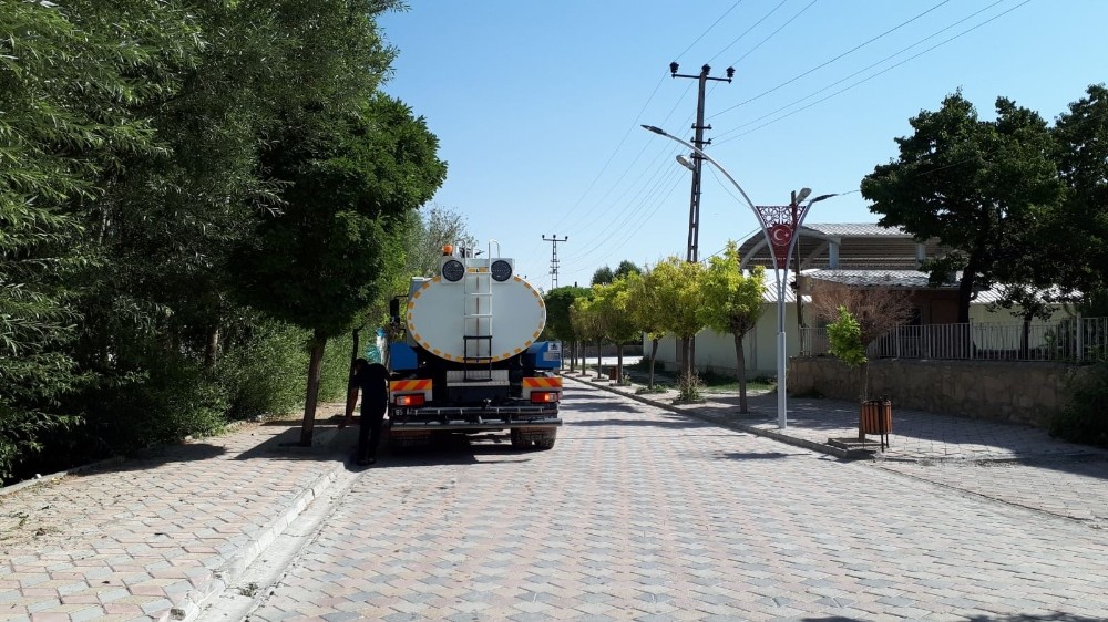 Gürpınar’da ağaç bakım çalışması 