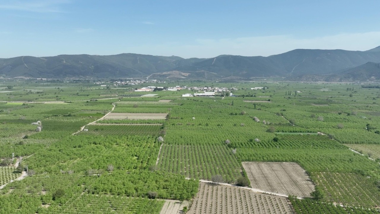 Gürsu Belediyesi tarımsal dönüşümün öncüsü oluyor