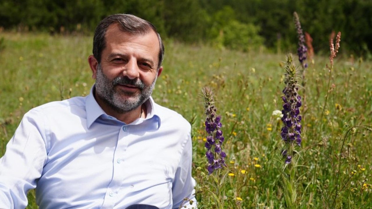 Gürsu'nun gök sığırkuyruğu çiçeklerini açtı