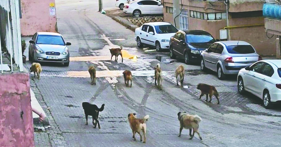 Güvenli sokaklara millet desteği