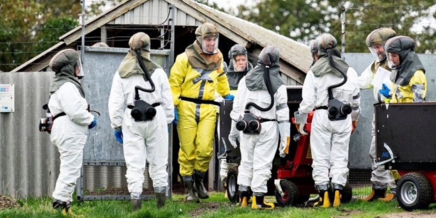 Güzel haberi dünyaya duyurdular! Mutasyona uğrayan virüs öldü