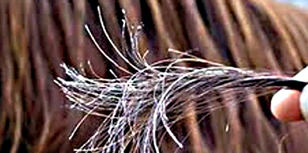 Güzel ve uzun saçlara sahip olabileceğiniz doğal yöntemler: Gür saçlara sahip olmanın sırrı! İşte inanılmaz bir...