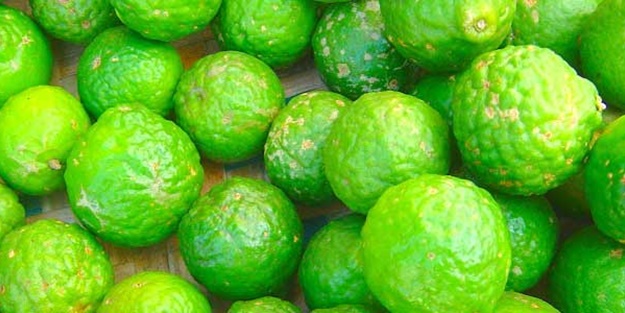 Güzelim bergamutu unuttuk gitti..