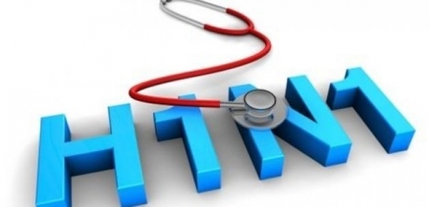 Domuz gribi virüsü 2 saat canlı kalabilir