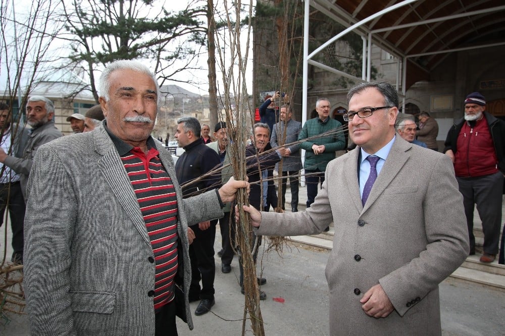 Hacılar Belediyesi’nden meyve fidanı dağıtımı 