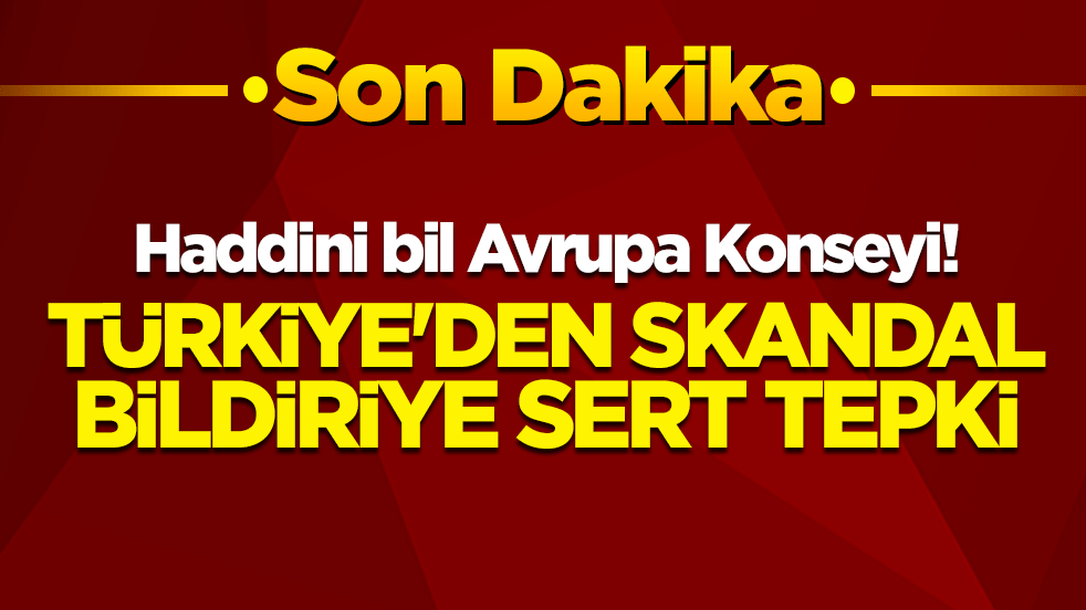 Haddini bil Avrupa Konseyi! Türkiye'den skandal bildiriye sert tepki