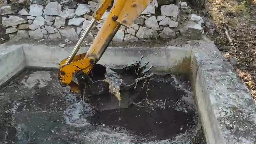 Hadi konuşun bakalım hayvan severler! CHP’li belediye katliam yapıyor