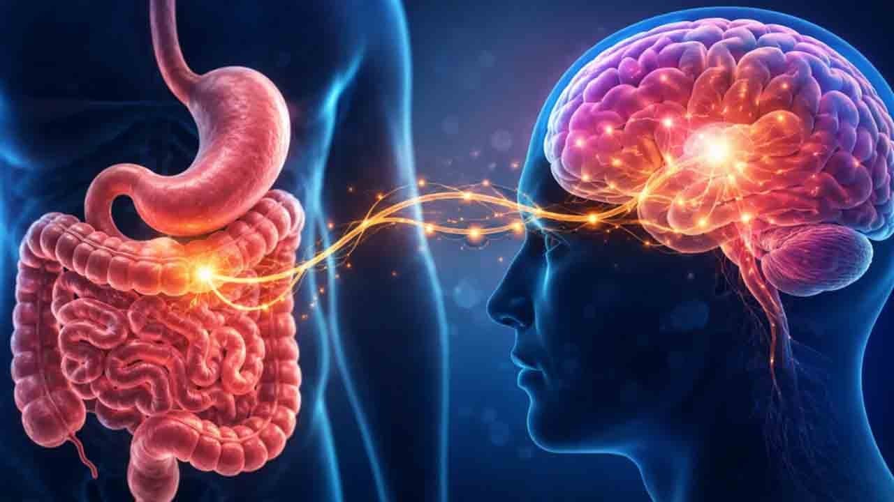 Hafızanın sırrı bağırsakta: Kötü beslenme anıları tehdit ediyor