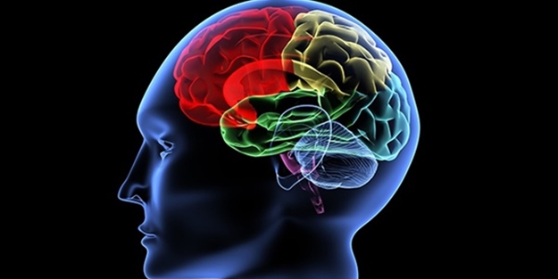 Hafızanızı ve beyninizi güçlendirmek mümkün - FOTO