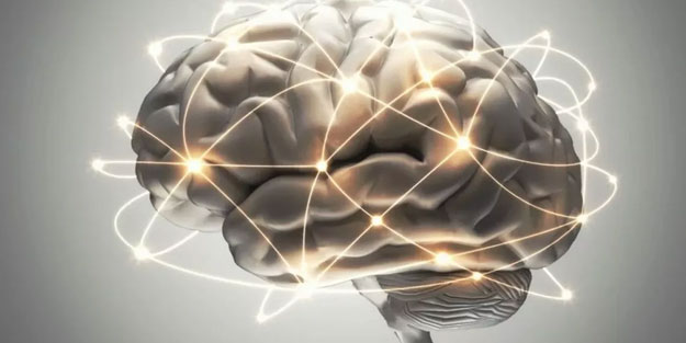 Hafızayı güçlendiren muhteşem bitkiler