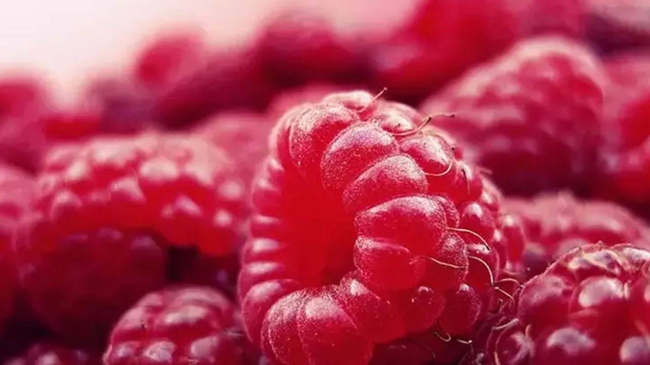 Hafızayı zehir gibi yapıyor! Günde 3-4 tane yeterli...