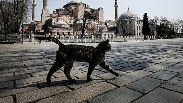 Hafta içi sokağa çıkma yasağı saatleri güncel | Sokağa çıkma yasağı saatleri değişti mi?