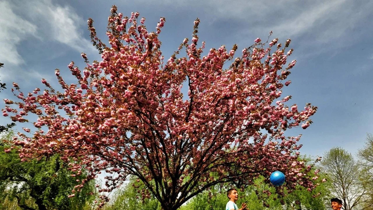Hafta sonu sıcaklıklar kavuracak! Sakın hafife almayın: 80 yıl önceki 'rekor sıcaklık' uyarısı