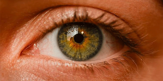 Haftada en az iki öğün balık tüketince bakın ne oluyor