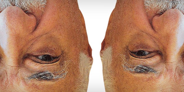 Hain F, zalim F, hırsız F...