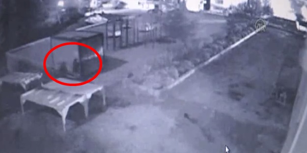 Hain saldırı güvenlik kamerasında