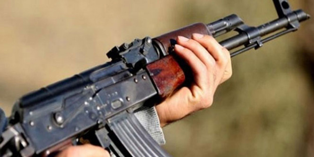 Hainler karakola saldırdı