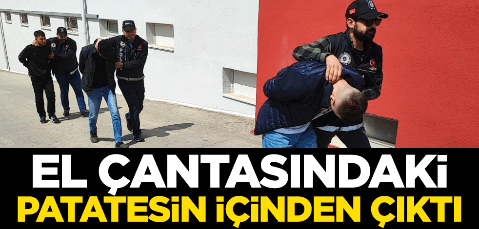 Hainlerden her gün yeni bir numara! El çantasındaki patatesin içinden çıktı