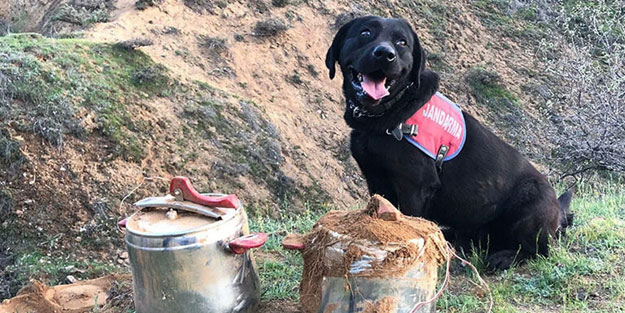 Hainlerden kalleş tuzak! Moçi hemen tepki verdi