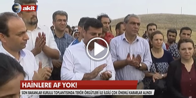 Hainlere af yok!
