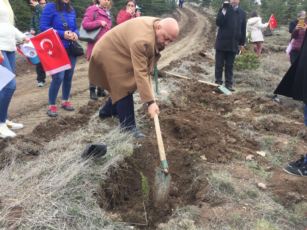 HAK-İŞ İdlib şehitleri anısına yüzlerce fidanı toprakla buluşturdu 