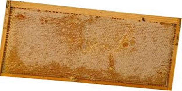 Hakiki olmayan baldan uzak durun! Çünkü...