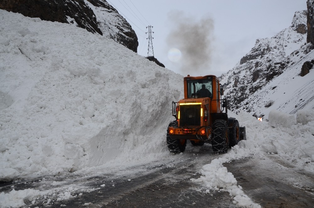 Hakkari-Çukurca kara yoluna çığ düştü 