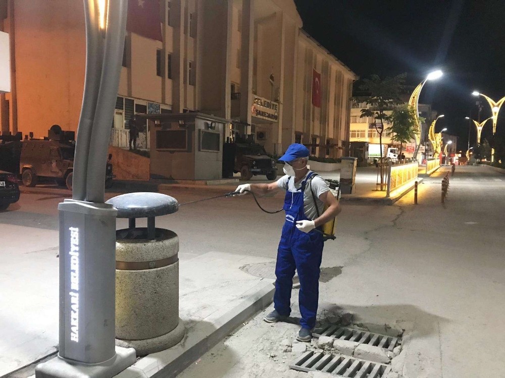 Hakkari kent merkezi haşerelerden arındırılıyor 