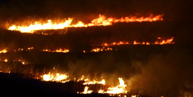 Kuş cenneti 4 gündür alev alev yanıyor